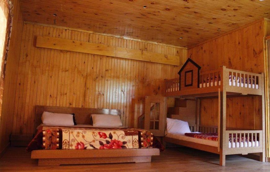 Swiss Wood Cottages Naran