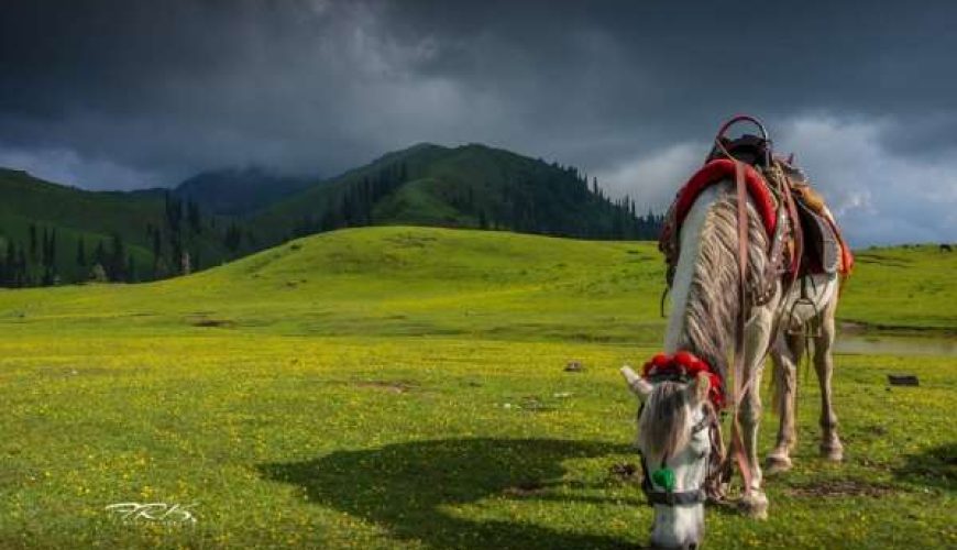 Naran Kaghan Group Tour Package from Karachi