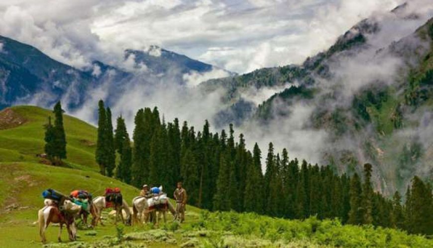 4 Days Tour Package To Shogran and Neelum Valley