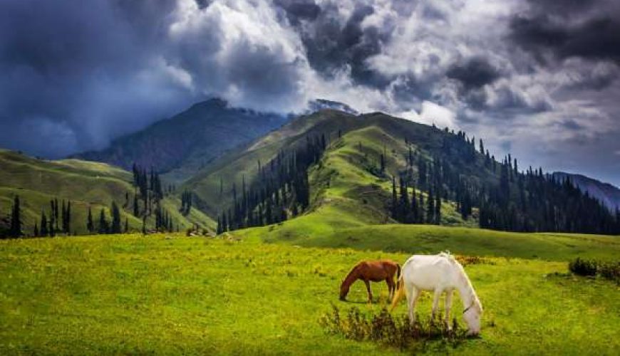 4 Days Tour Package To Shogran | Murree
