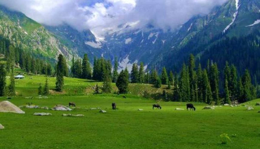 3 Days Kumrat Valley Tour Package