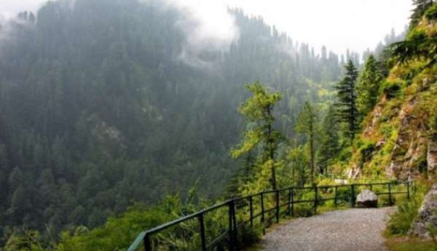 Tour Package for Islamabad/Murree